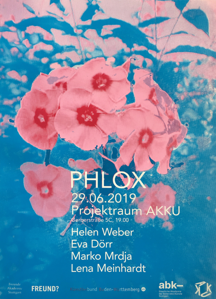 Phlox Plakat